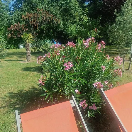 Provencale Avec Piscine Privee * Ris (Puy-de-Dome)